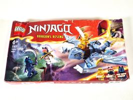 LEGO Ninjago 71810 Junger Drache Riyu