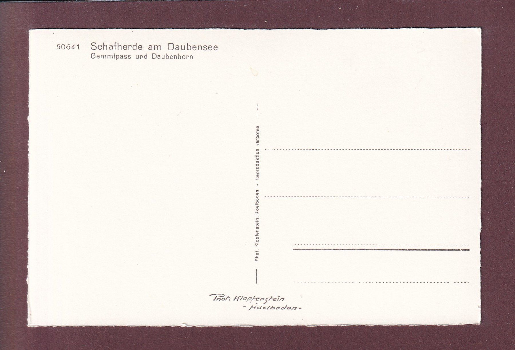 Cartoline postali: Schafherde am DAUBENSEE – Usato da Pully venduto da nicecards 1