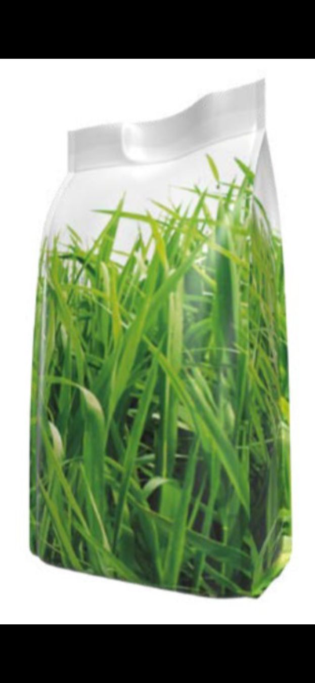 Piante & sementi: grassamen – Nuovo e nell'imballaggio originale da immensee venduto da Thsch1