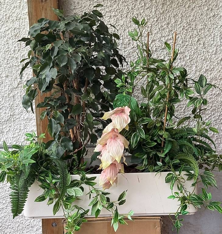 Pflanzen & Samen: Kunst-Pflanze – Gebraucht aus Oberweningen von ursulakoeppel
