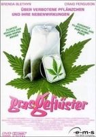 GRASGEFLÜSTER                   ==> SAMMELPORTO