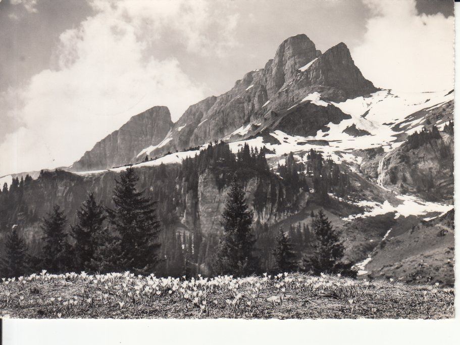 Cartoline postali: Braunwald 1967 – Usato da Bürglen TG venduto da StampGraf