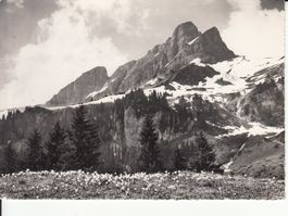 Braunwald 1967
