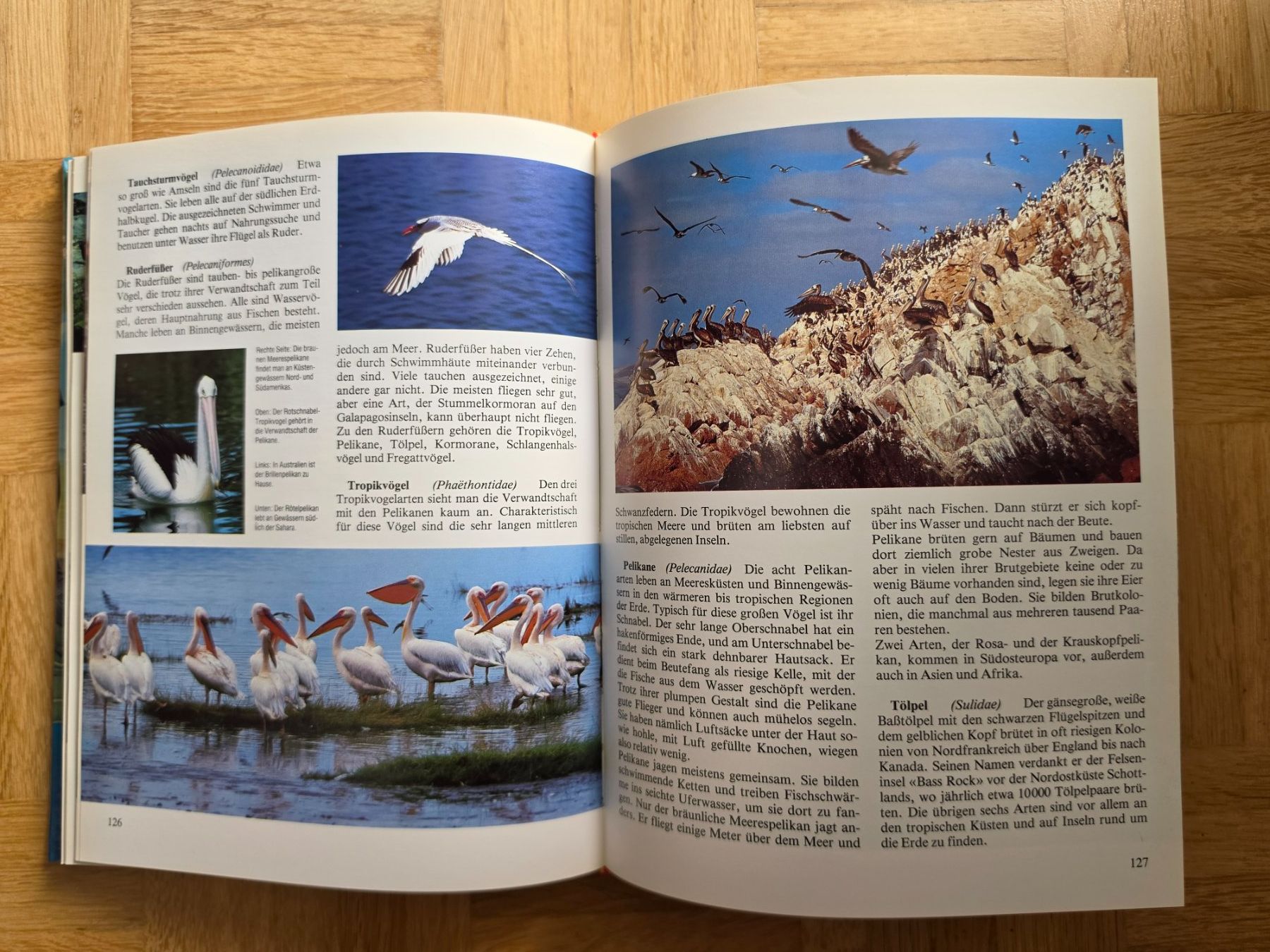 Libri: Lexikon der Tiere – Usato da Stäfa venduto da flamingo_17 5