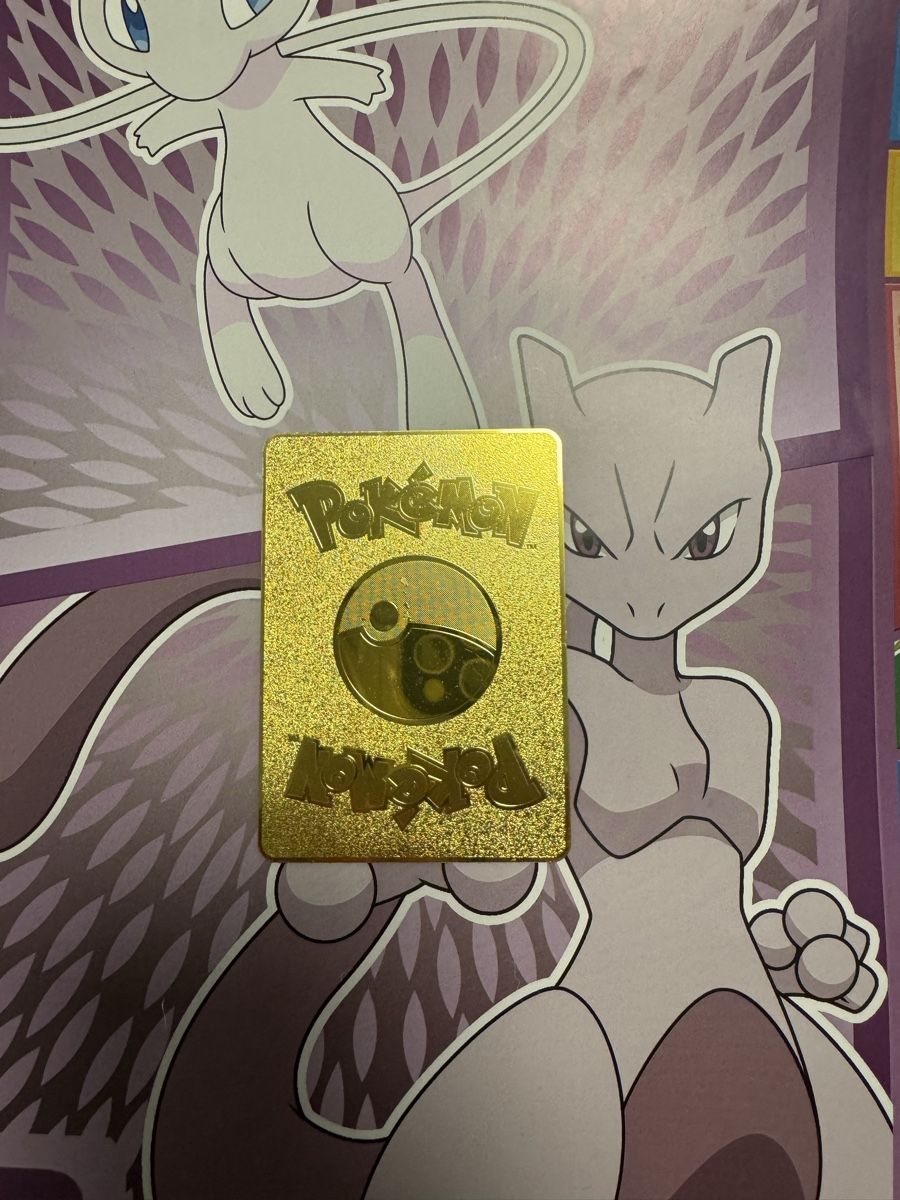 Pokémon Carte collezionabili: Pokémon Karte aus Metall – Nuovo (secondo la descrizione) da Emmenbrücke venduto da paj_q8wx 1
