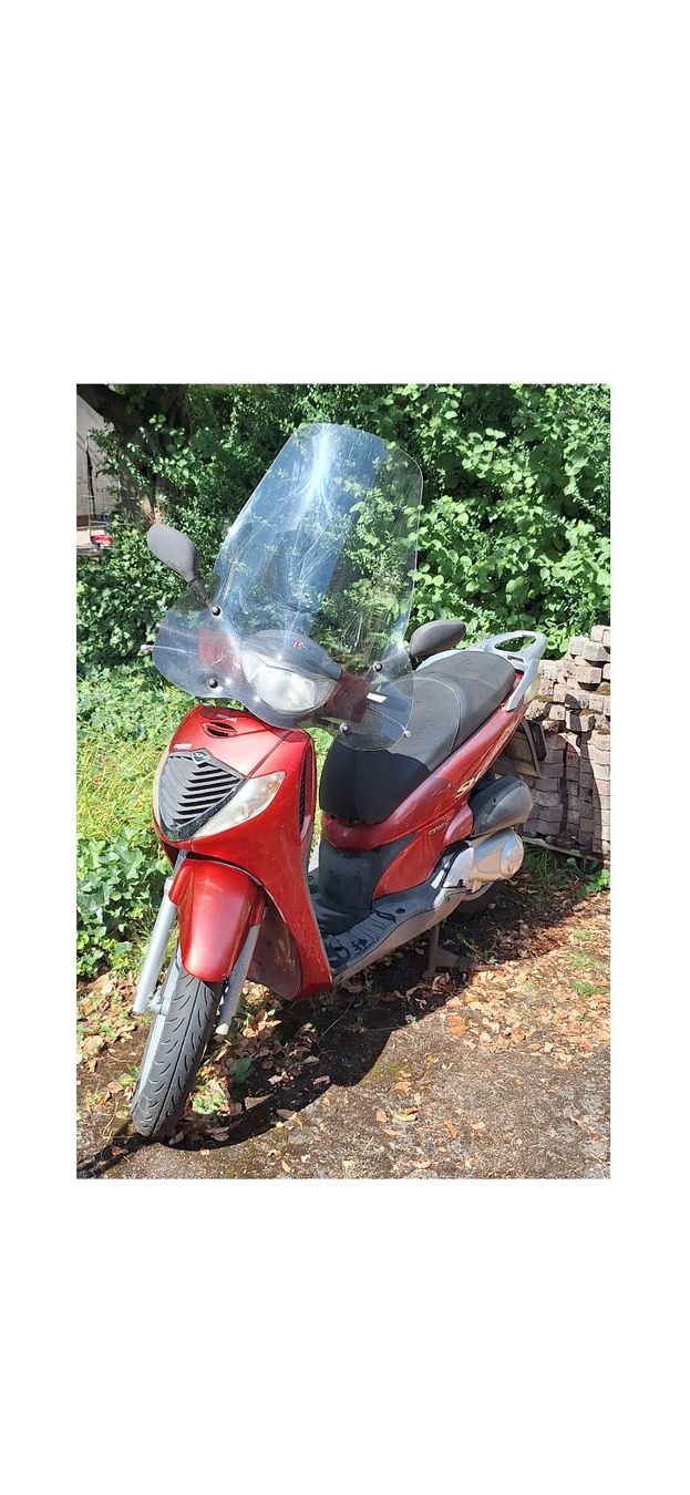 Honda Scooter: Roller, Honda SH125, 31902 km – Usato da Zürich venduto da patimrausch