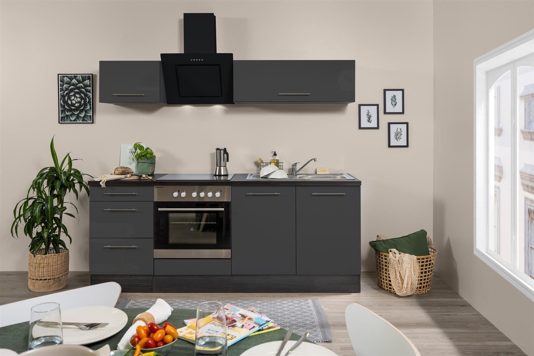 Cucine complete: 178 Küchenzeile Singleküche 210cm E/G - Küche Einbauküche – Nuovo e nell'imballaggio originale da Wallenwil venduto da toesstalvertrieb