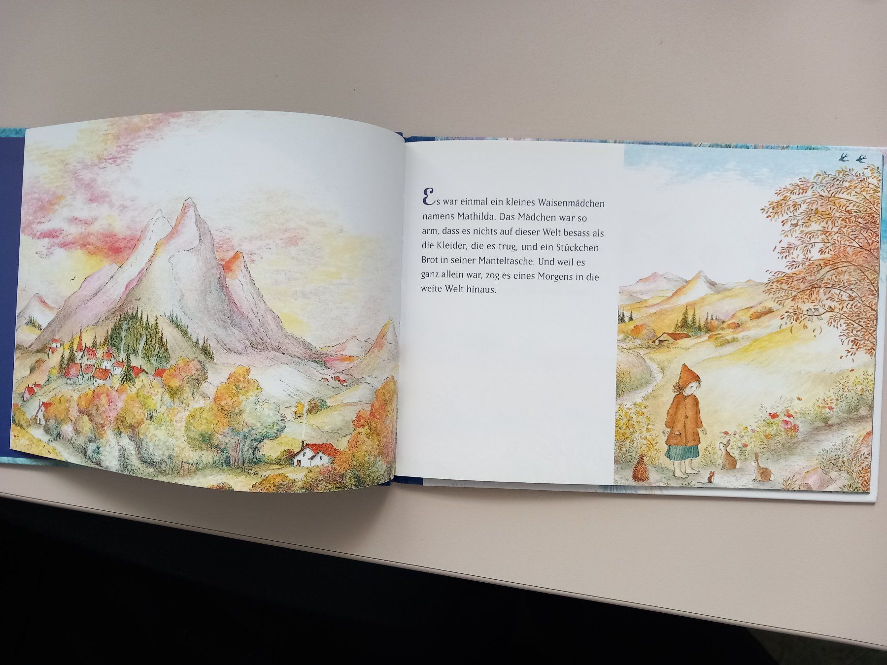 Libri: Wunderschöne Kinderbücher in top Zustand – Usato da Lindau venduto da san_kg2j 6