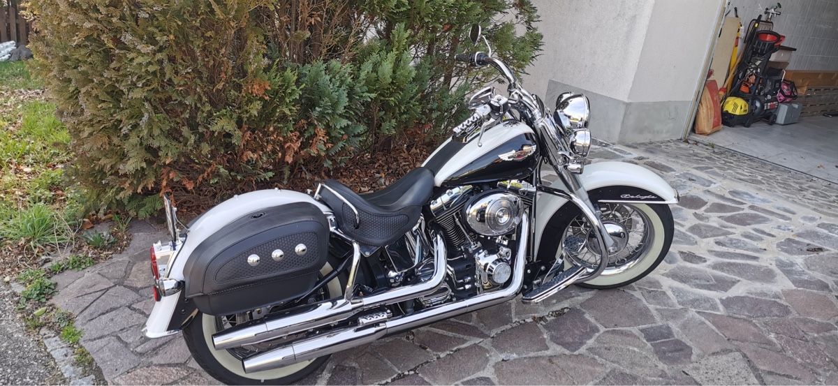 Touring: Harley-Davidson soft tail deluxe – Usato da Liesberg Dorf venduto da cavannii 2