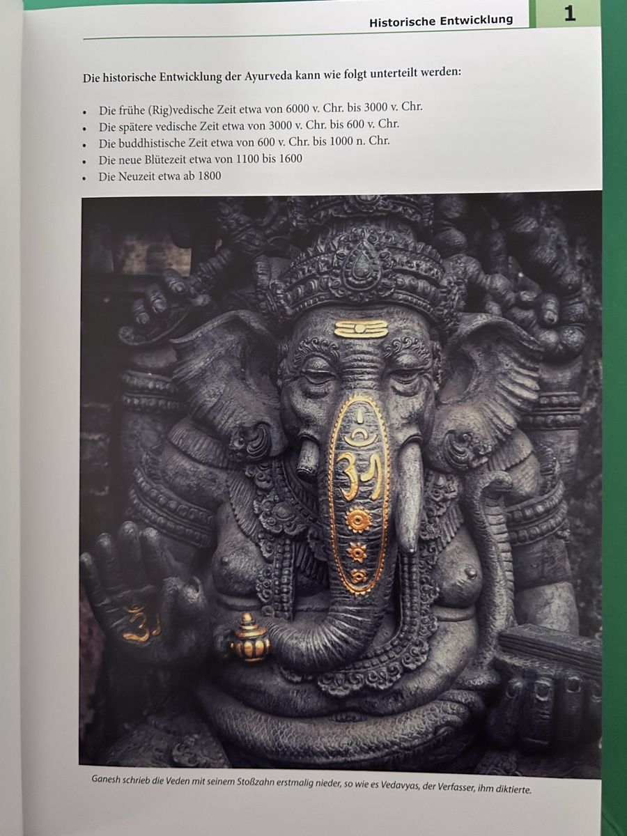 Bücher: Das Neue Ayurveda Praxis Handbuch – Neu (gemäss Beschreibung) aus Dietikon von TdaC 2