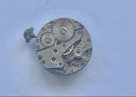 AS 1001 Movenment Swiss 17 Jawels