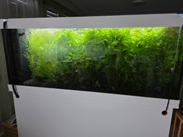 Aquarium Juwel Rio 450 Liter mit Unterschrank und Zubehoer