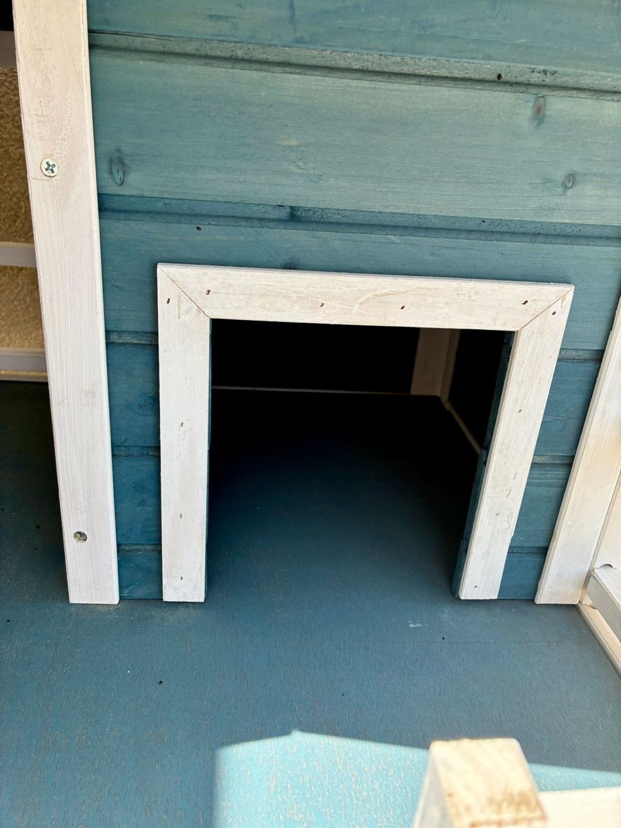 Tiragraffi: Katzen Penthouse – Usato da Aegerten venduto da Bartlii 2