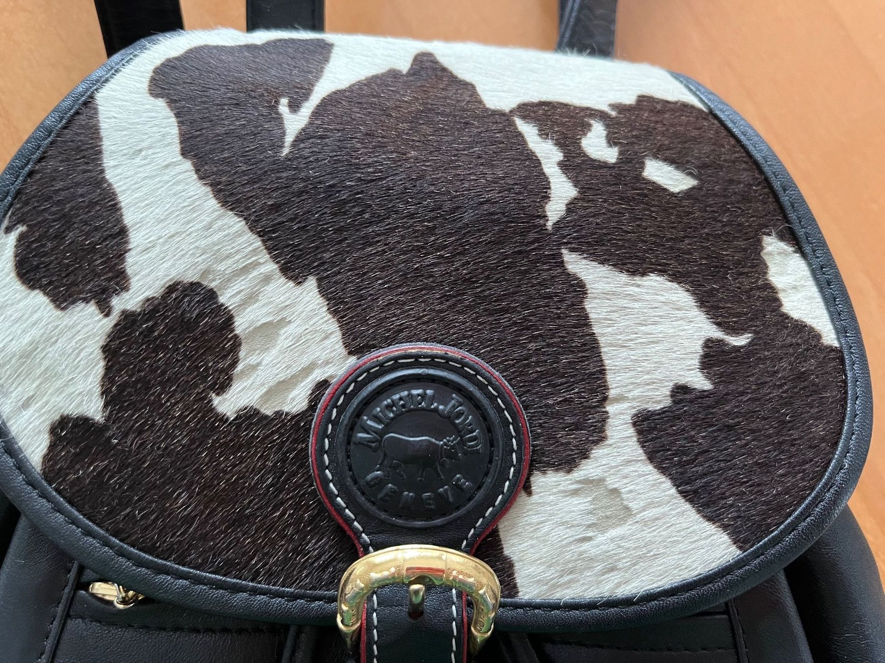 Michel Jordi Zaini: Michel Jordi Rucksack – Usato da Dulliken venduto da Lemon09 1