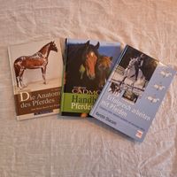 Pferde Bücher-Set: Anatomie, Rassen, Erfolgreich Arbeiten!