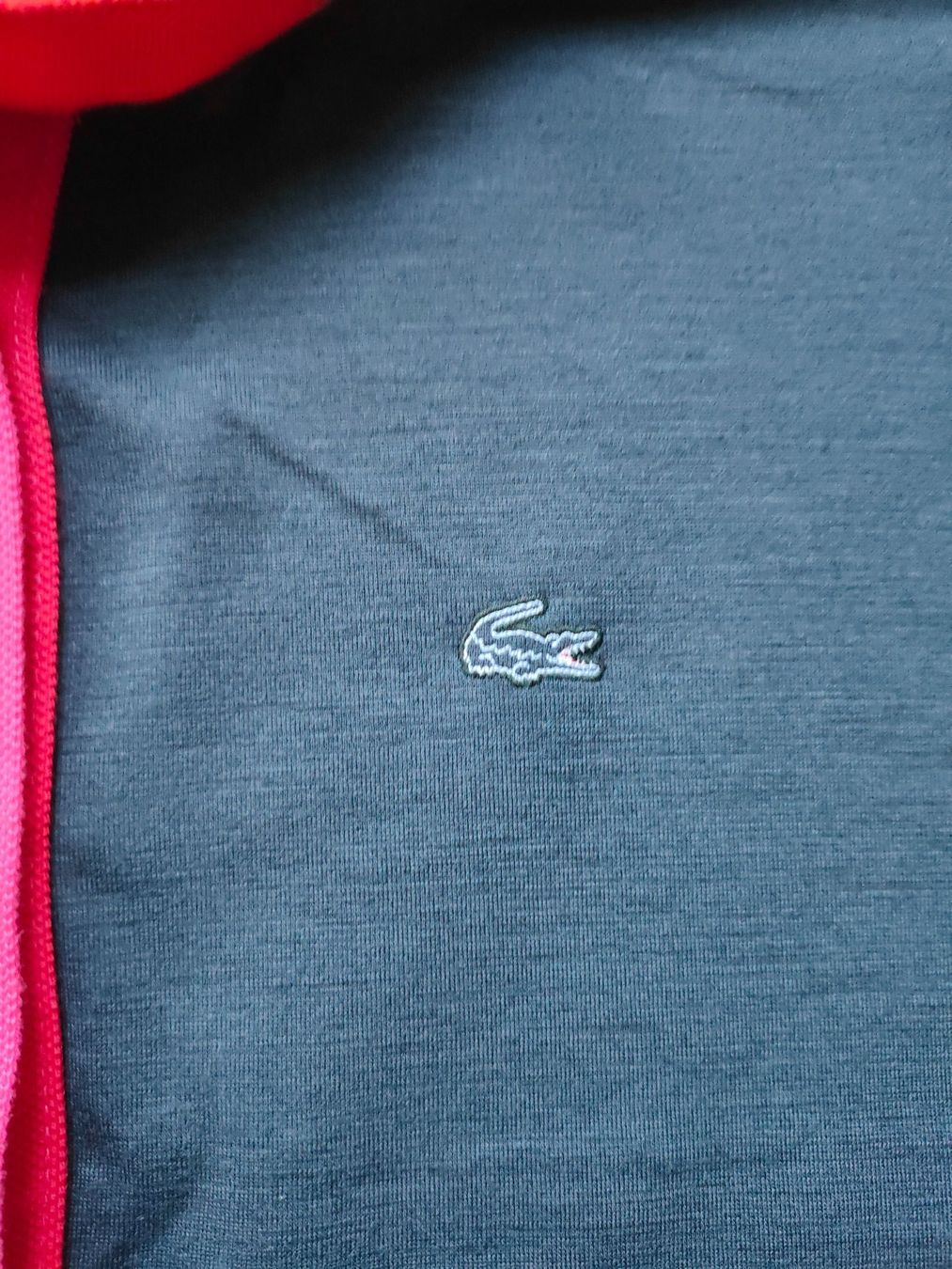 Lacoste Vestiti: LACOSTE Kleid – Usato da Adliswil venduto da Vimovi 2