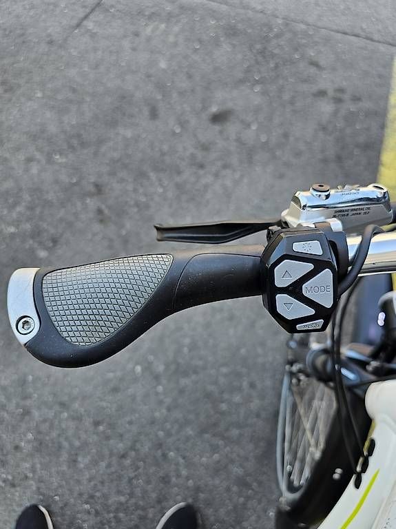 Biciclette: E BIKE  FLYER Next Generation 25 km/h – Usato da Zug venduto da abv_9t5d 3