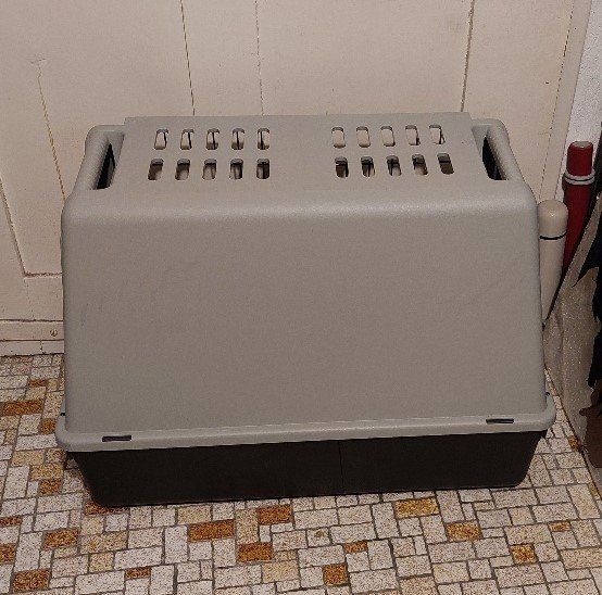 Cucce & Letti: Tiertransportbox – Usato da Zufikon venduto da brocki5621 2