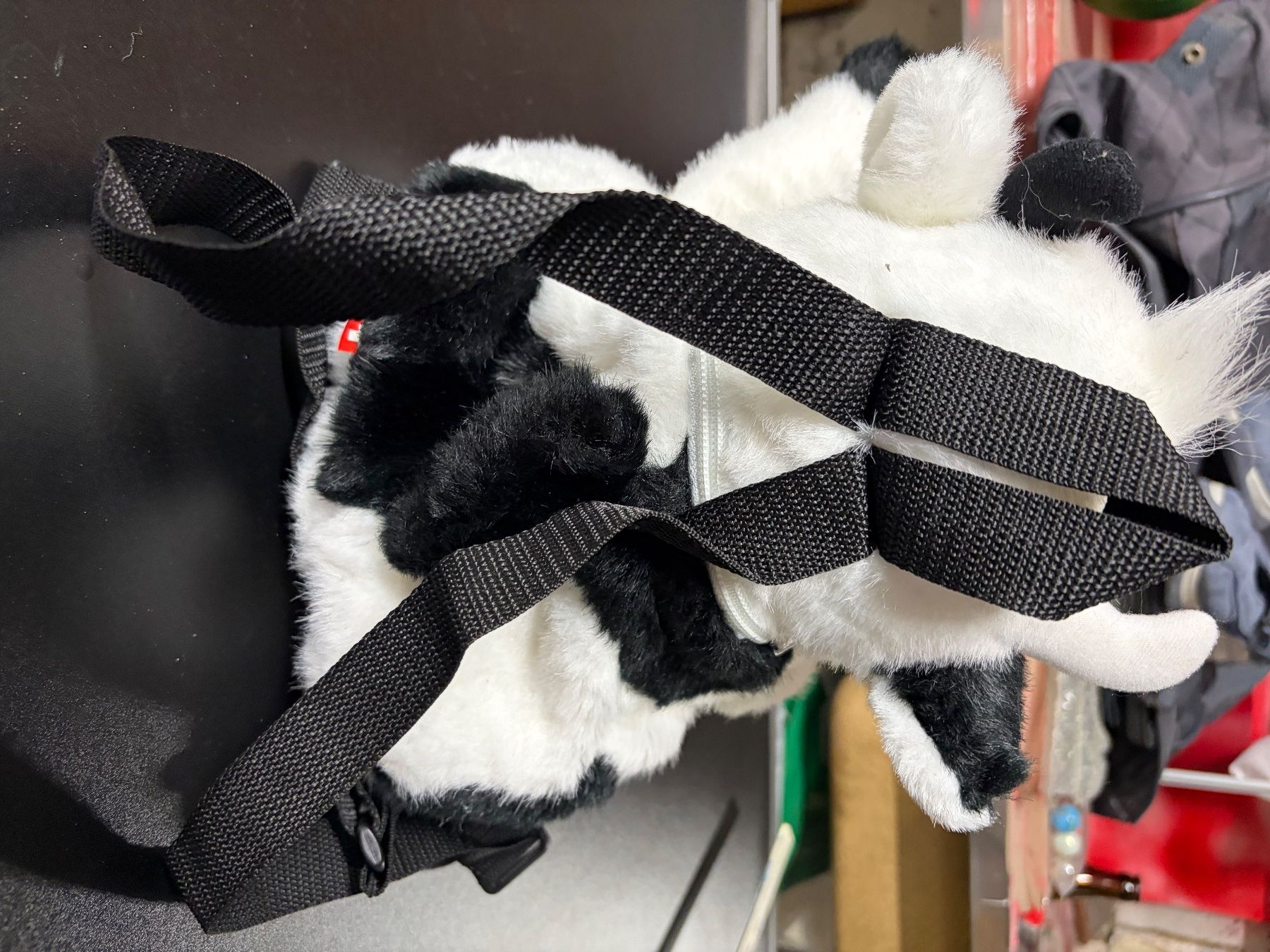 Borse & Zaini: Kinderrucksack KUH – Usato da Obergösgen venduto da Andre118 1