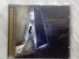 Evanescence - The Open Door