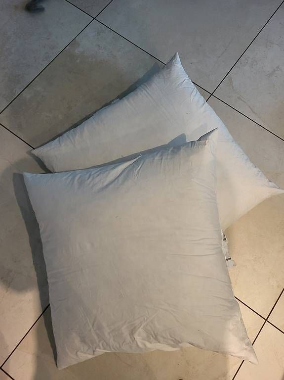 Cuscini: Kissen 60 x 60 Daunen – Usato da Emmen venduto da kvo_597x