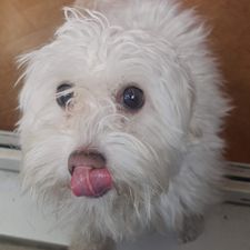 Profile image of Captain_Bailey
