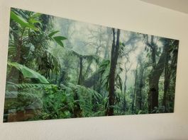 3D Bild Acrylglas  Regenwald Costa Rica