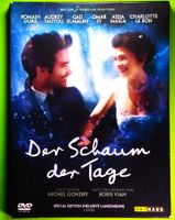DER SCHAUM DER TAGE / EINE KONGENIEALE ROMANVERFILMUNG !