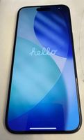 iPhone 15 Pro Max 256 GB