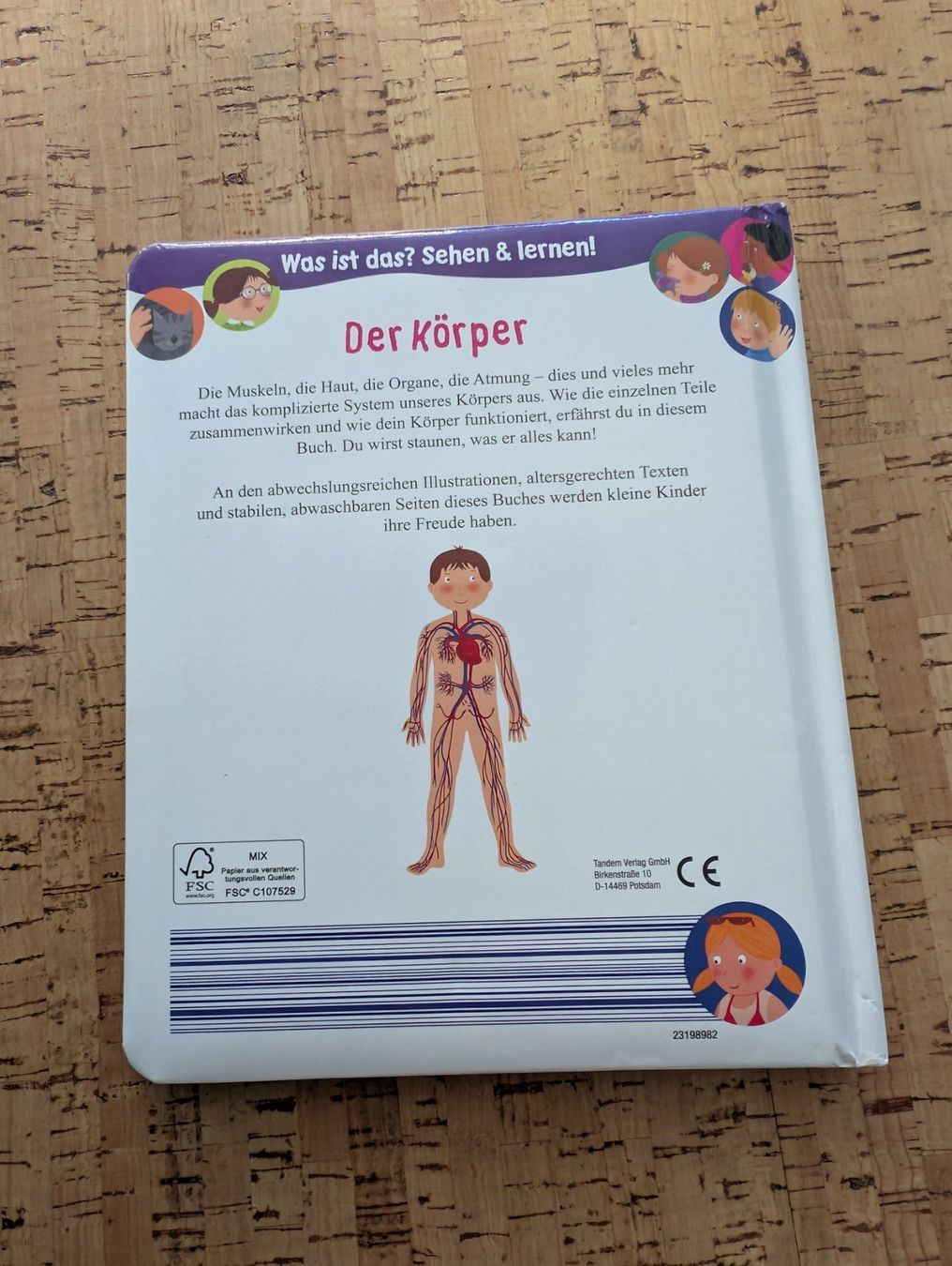 Libri: Kinderbuch Der Körper Sehen & Lernen abwaschbare Seiten – Usato da Safenwil venduto da Ayleen03 1