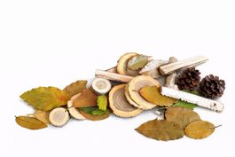 Herbstdeko-Set aus Naturholz mit Zapfen & Blättern