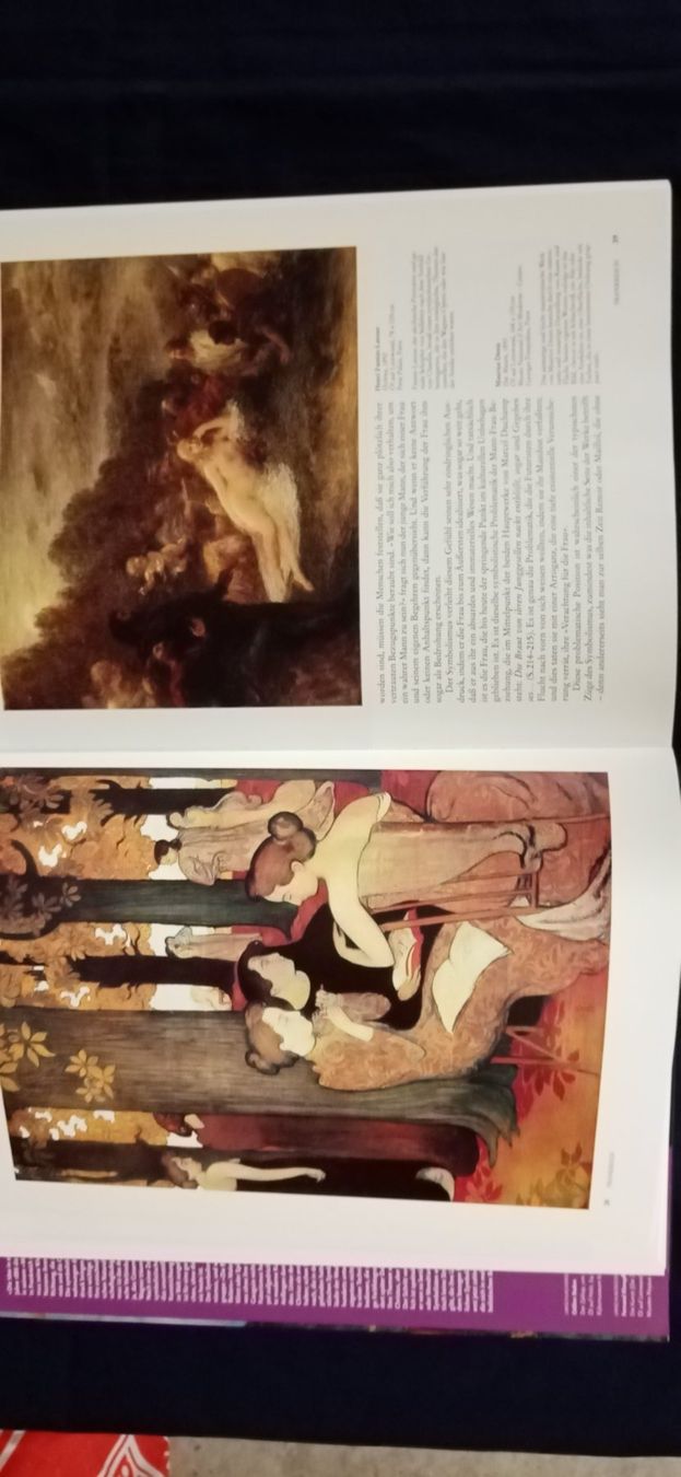 Libri: Symbolismus, Bildband – Usato da Büsingen venduto da Flohminator 4