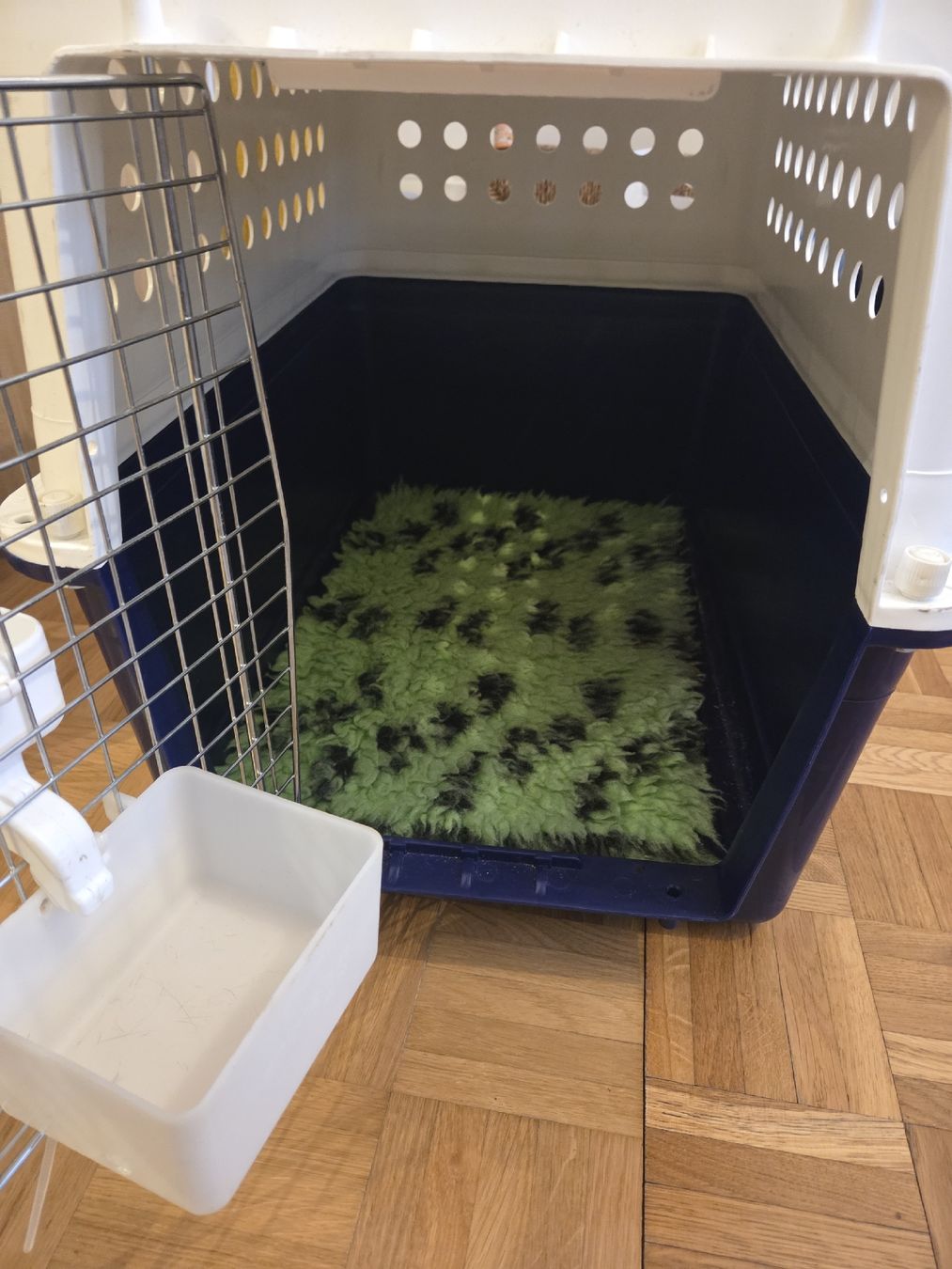 Gabbie, trasporto & Sicurezza: Airline Pet Transport Box – Usato da Zürich venduto da mel_ly8t 1