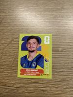 Panini Fifa WM 2026, BIH 10