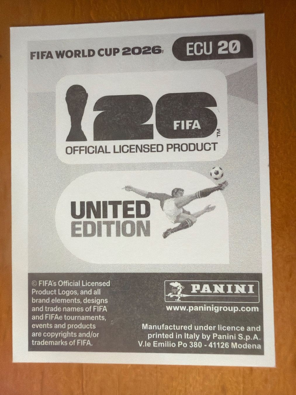 Panini Cartes à collectionner: Panini ECU20 – Neuf (Voir description) à Susten par Rechnun 1
