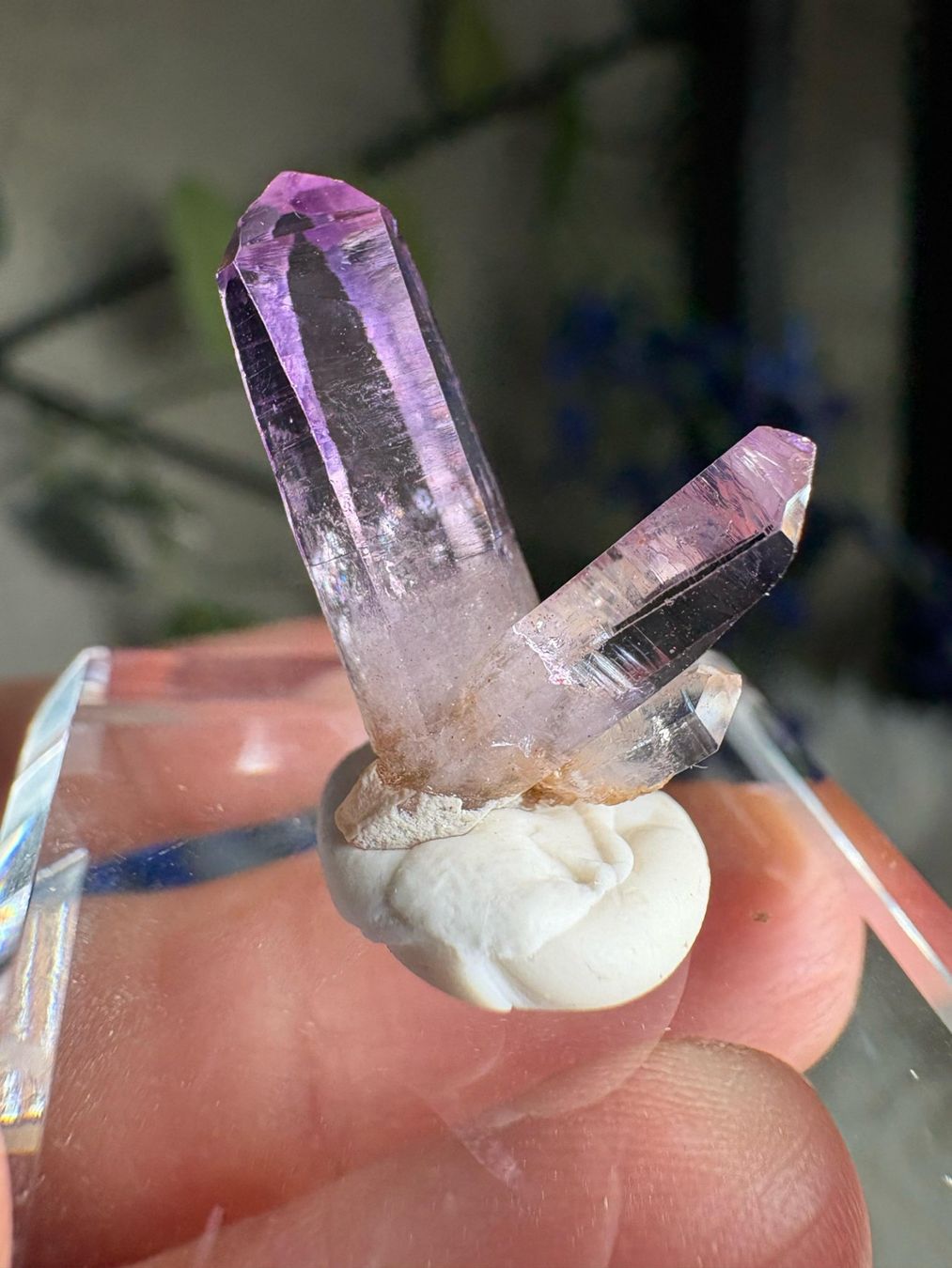 Pietre preziose: Veracruz Amethyst – Nuovo (secondo la descrizione) da Neuheim venduto da m.hald 1