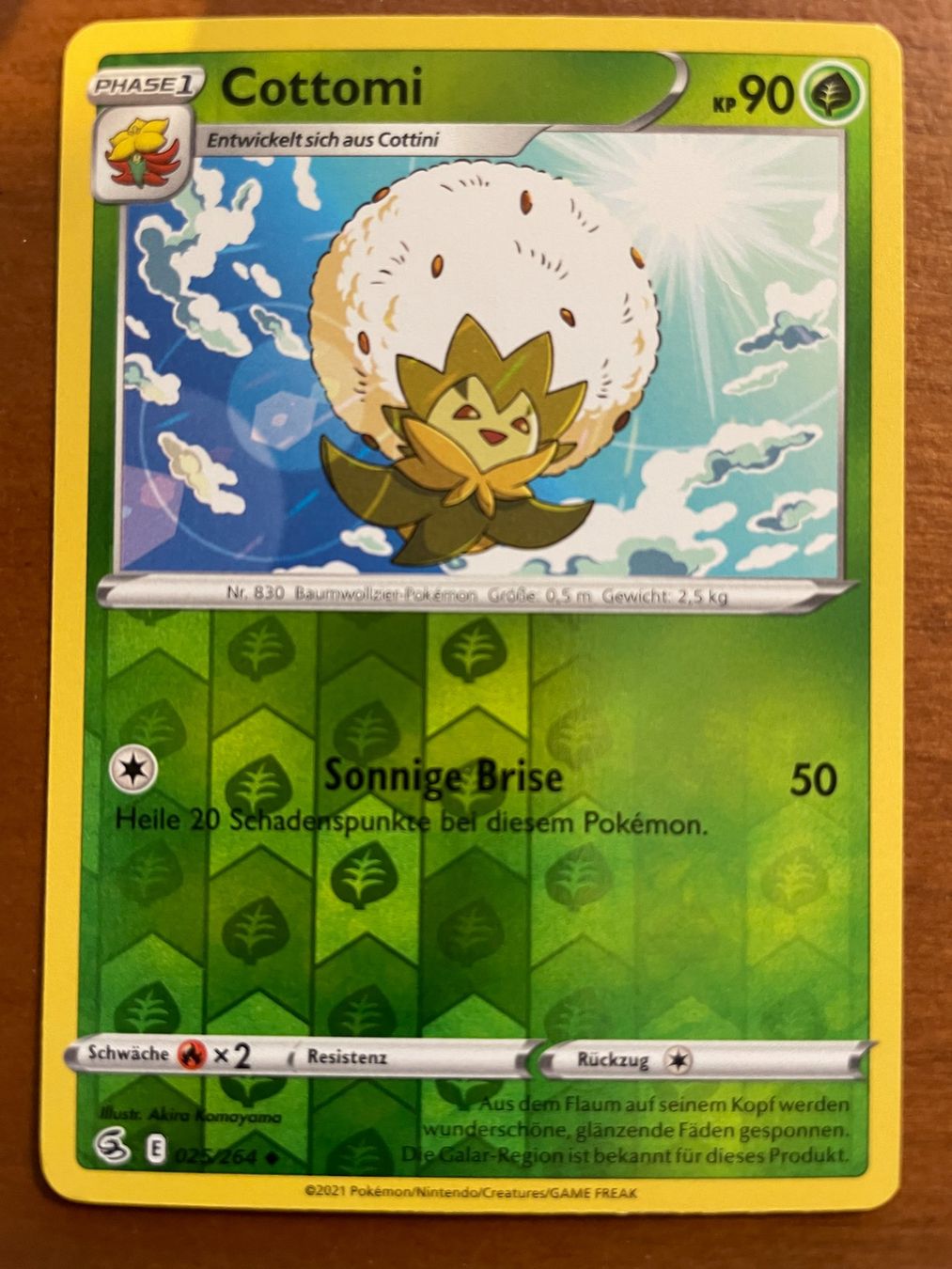 Pokémon Carte collezionabili: Pokemon Cottomi Reverse (Versand gratis) – Nuovo (secondo la descrizione) da Chur venduto da Angerson