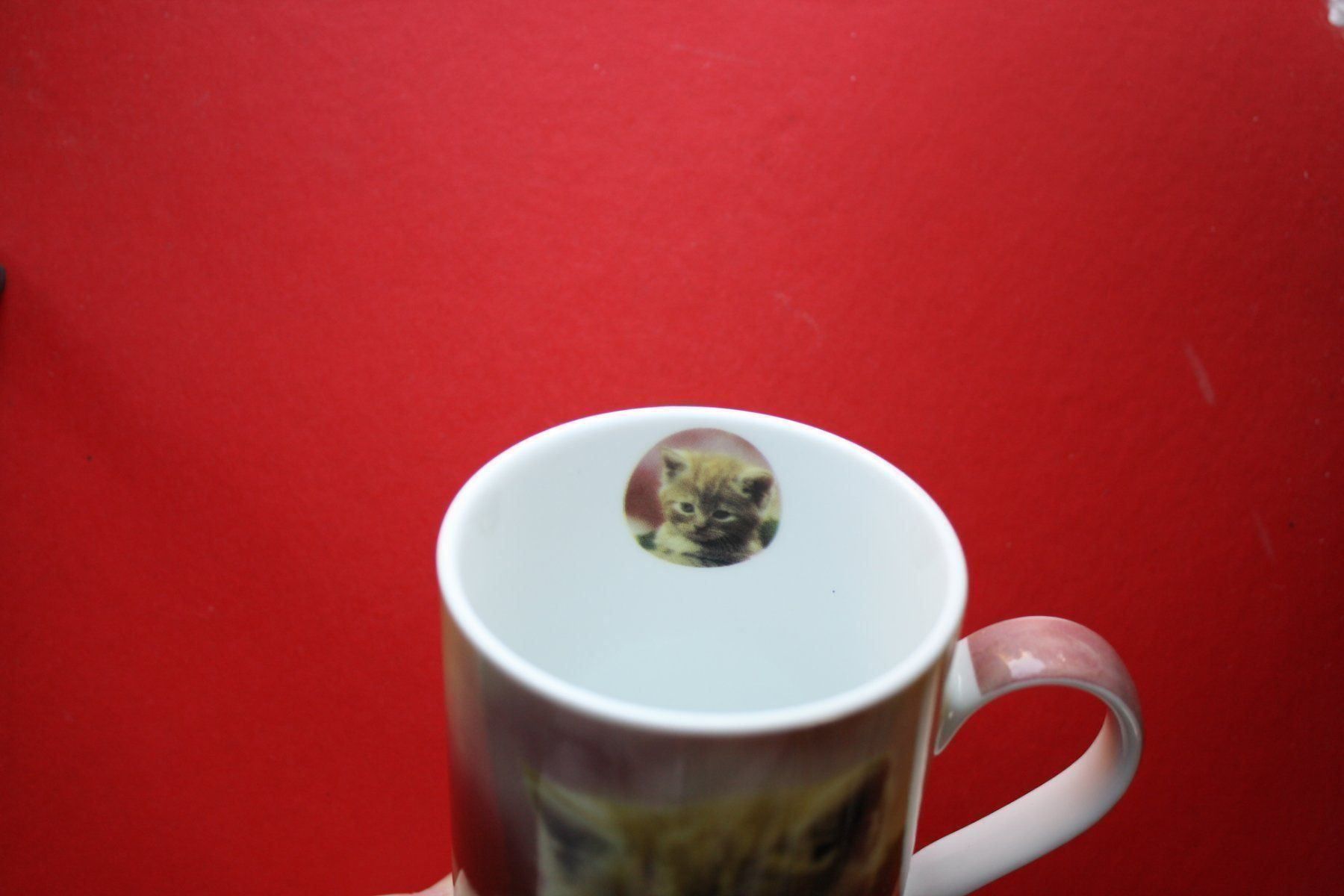 Tazze: tasse / diverses – Usato da Laupen BE venduto da Gufi57 2