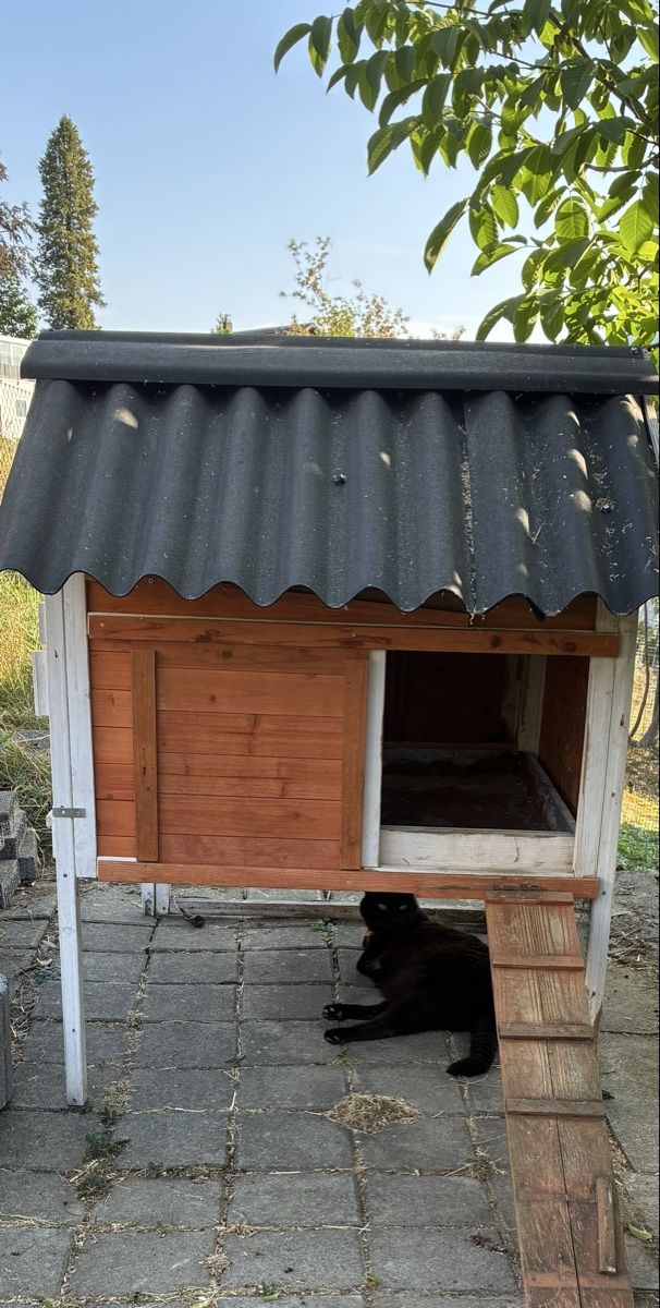 Gabbie, trasporto & Sicurezza: Schutzhütte/ Stall – Usato da Seon venduto da Langaust