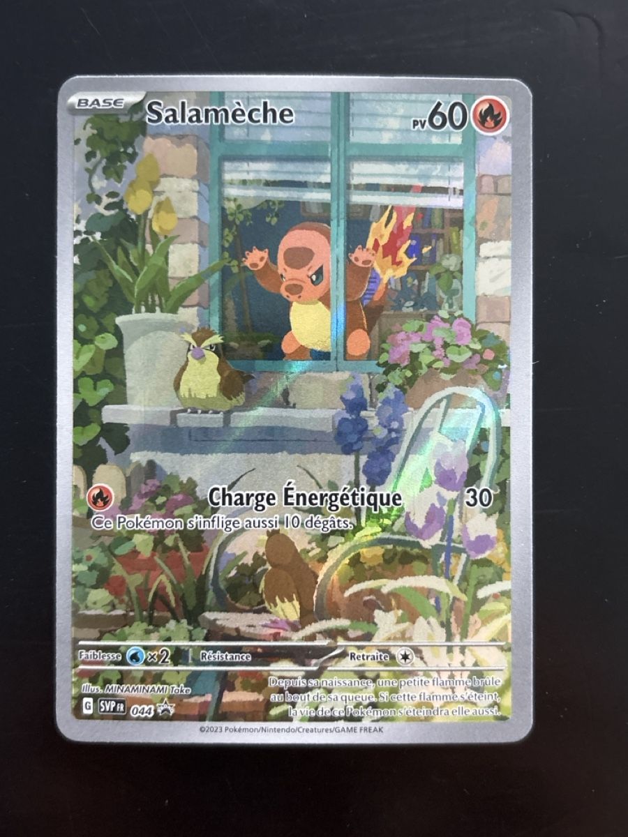 Pokémon Sammelbilder & Trading cards: Salameche - SVP 044 🇫🇷 – Gebraucht aus Delémont von mar_7ynr
