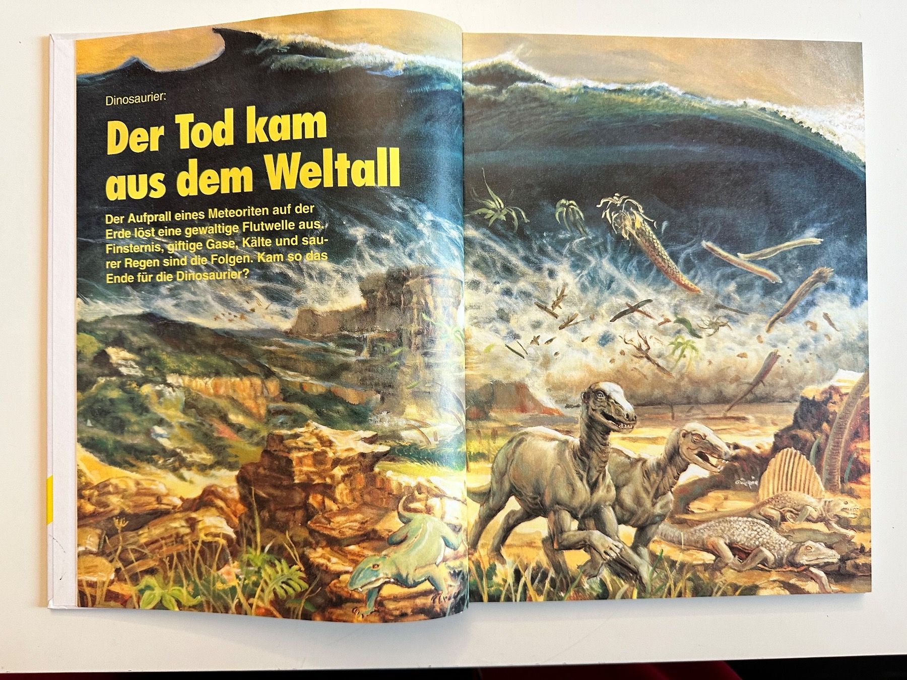 Libri: ALTES TREFF JUGENDBUCH 1994 – Usato da Münsingen venduto da Ganjam 4