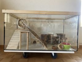 Grosses Hamstergehege mit viel Zubehör