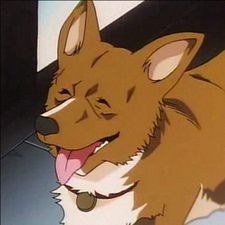 Profile image of BryanT