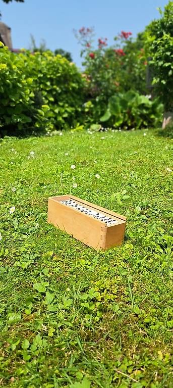 Spiele: Domino – Gebraucht aus Zürich von capo-capo 1