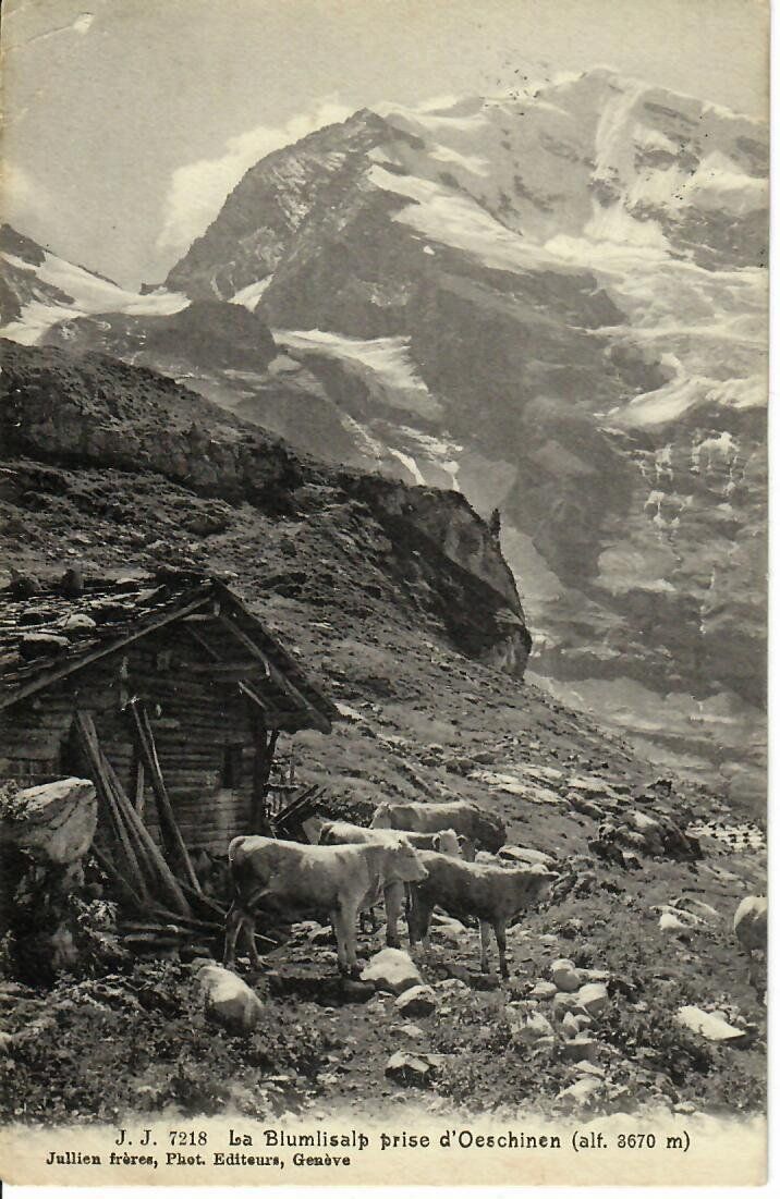 Cartoline postali: Blümlisalp - Oeschinen  1913 – Usato da Hochdorf venduto da Ziegel-16