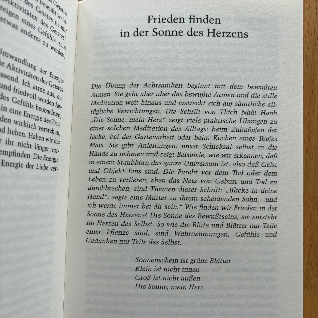 Libri: Lächle deinem eigenen Herzen zu / Thich Nhat Hanh – Usato da Baar venduto da Schreibseele 5