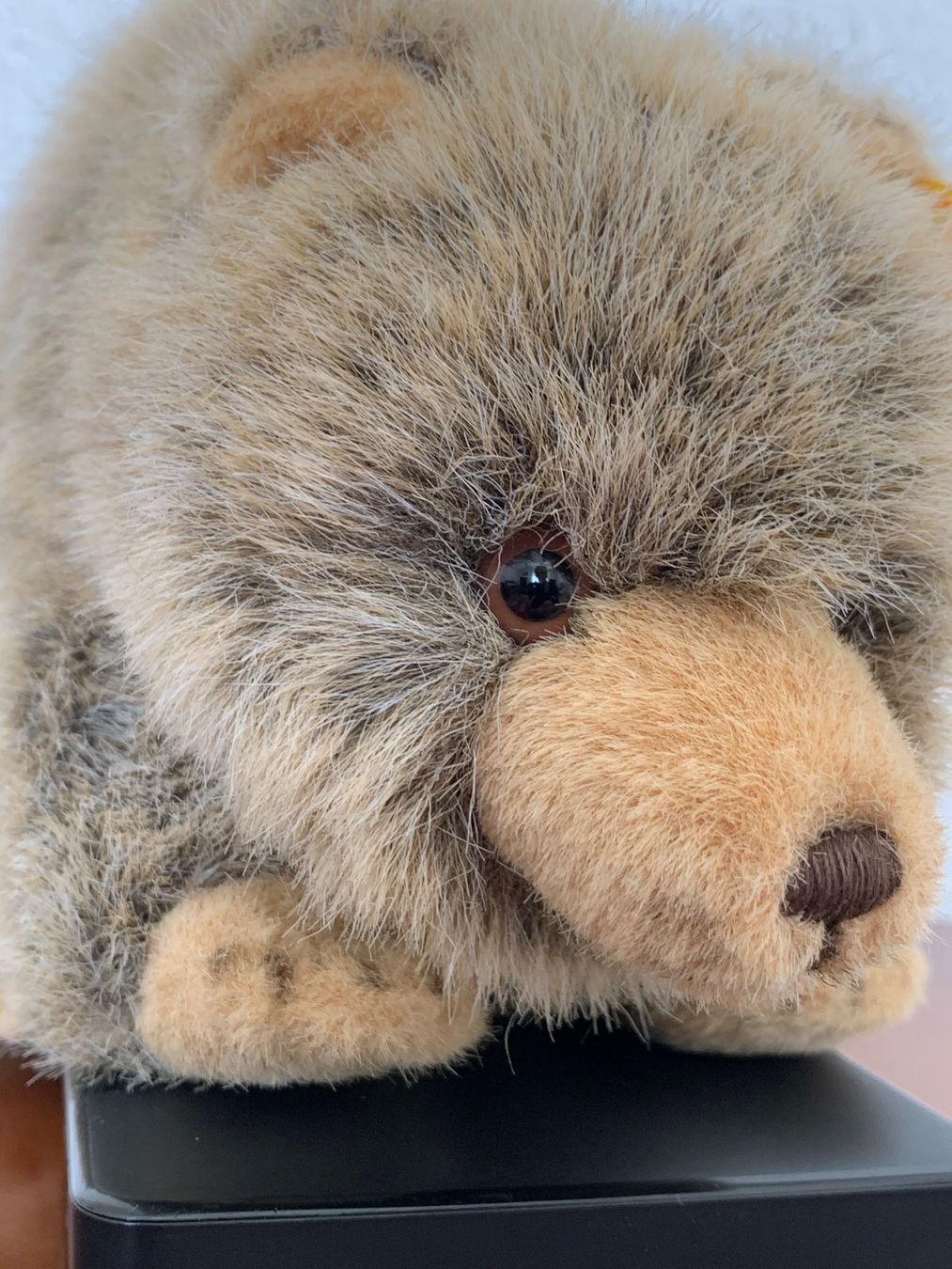 Steiff Jouets: Steiff, Braunbär – D'occasion à Baar par Daysi2 4