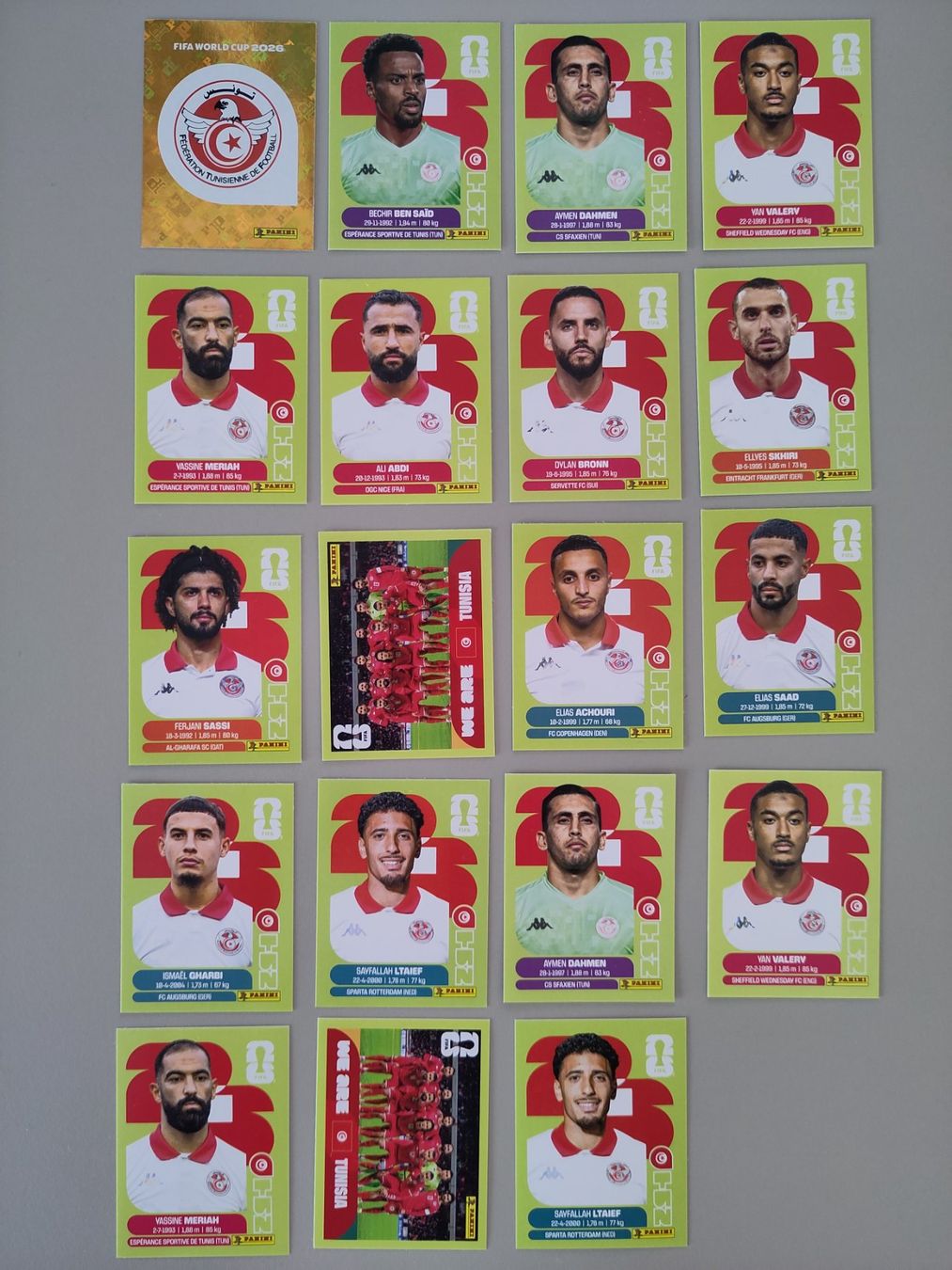 Panini Carte collezionabili: FIFA Panini Tunisia (TUN) – Usato da Bern venduto da gil_rkx8
