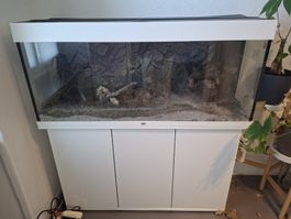Aquarium 300 lt
