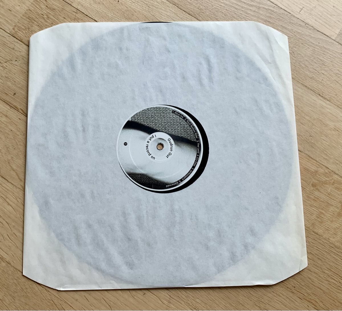 Dischi in vinile: Gudrun Gut I put a record on – Usato da Zürich venduto da Fieber 2